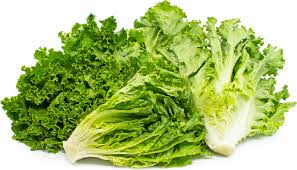 Green Lettuce